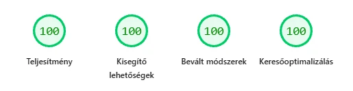 Google Lighthouse results showing four scores of 100.